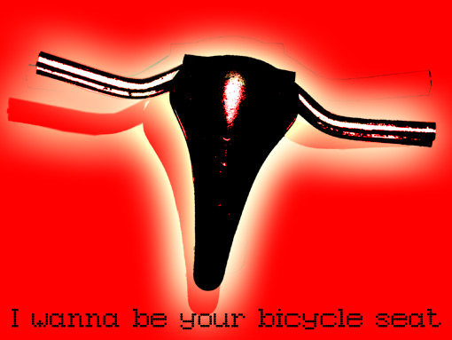 I wanna be your bicycle seat
